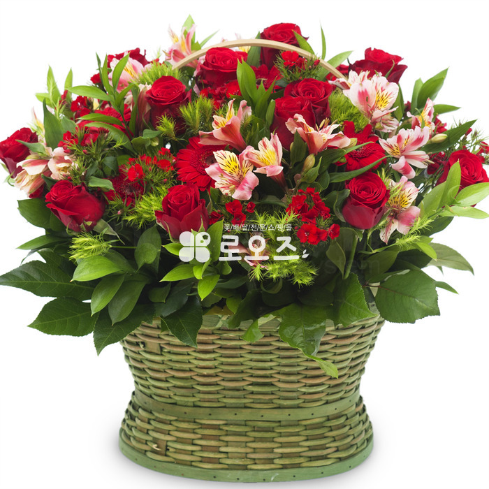 상세이미지
