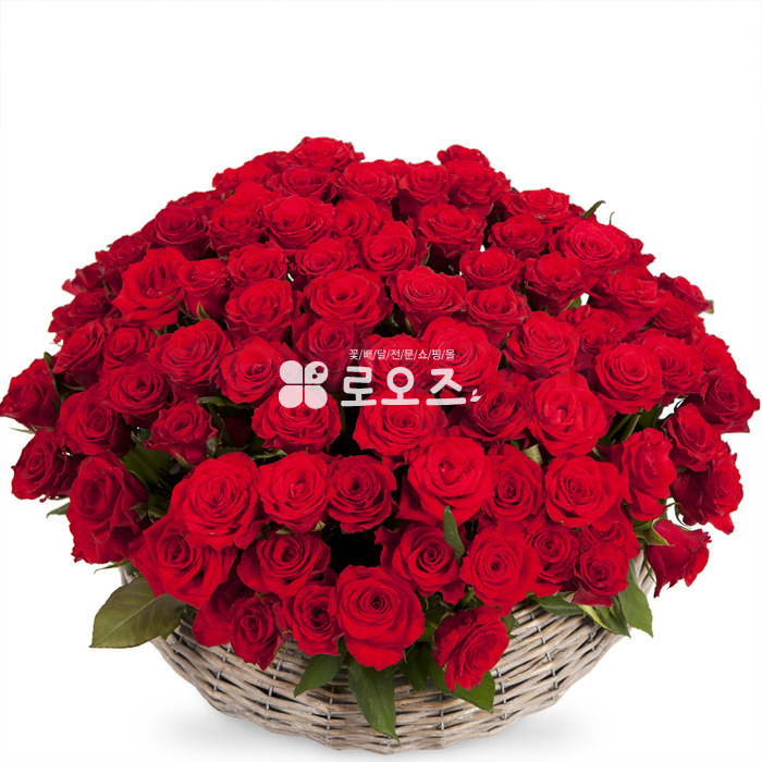 상세이미지