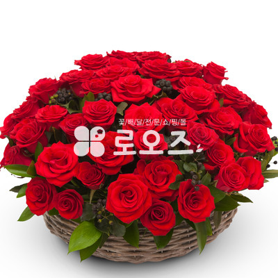 레드장미바구니
