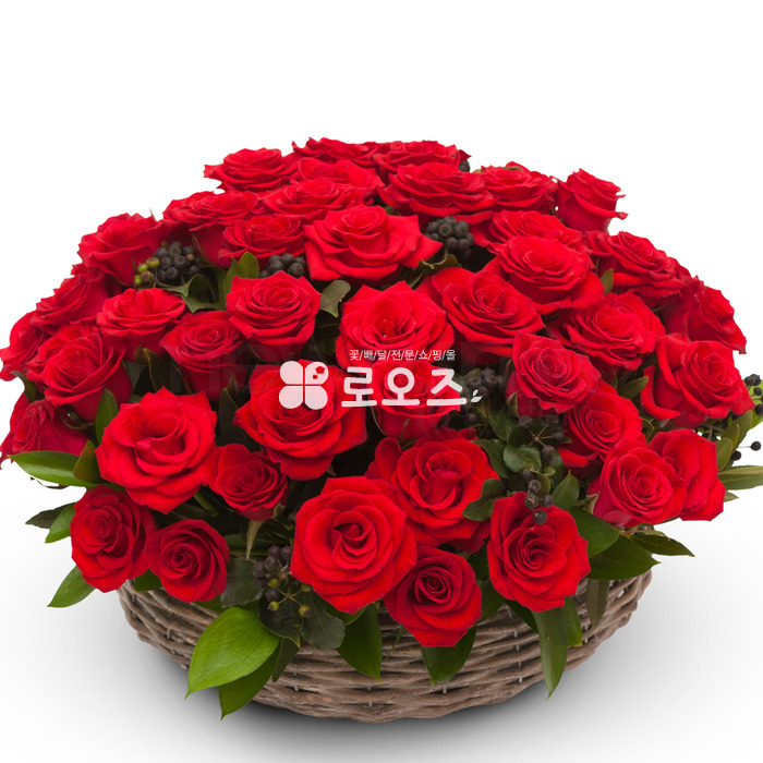 상세이미지