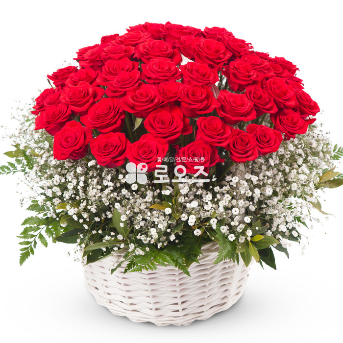상세이미지
