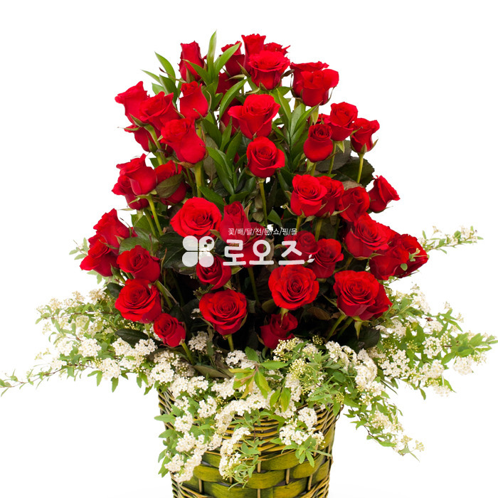 상세이미지