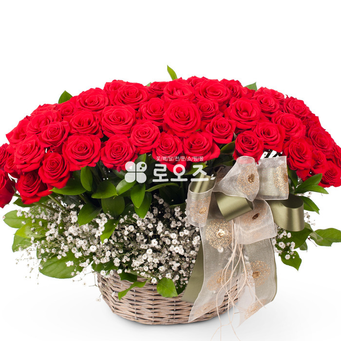 상세이미지