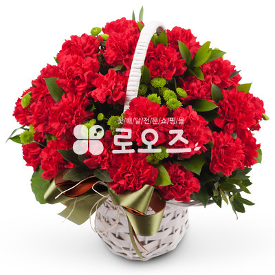 카네이션 사랑 (코사지무료)