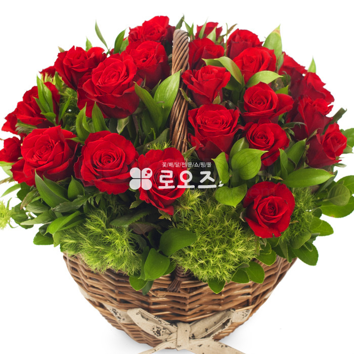 상세이미지