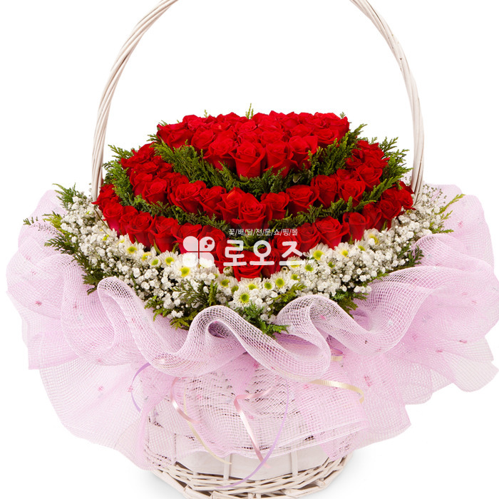 상세이미지