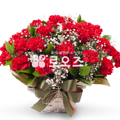 카네이션 바구니