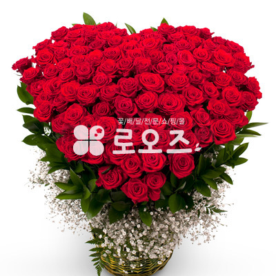 100송이 레드빛 사랑
