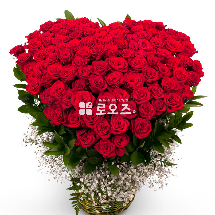상세이미지