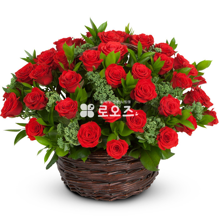 상세이미지