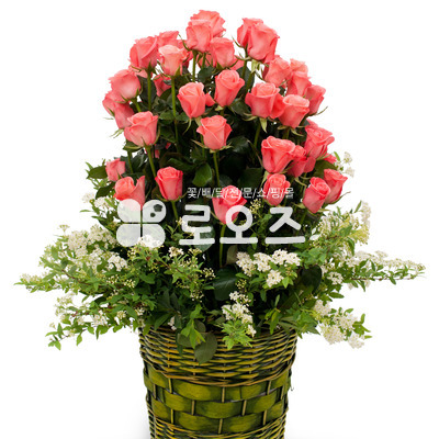 내 사랑 여인이여~