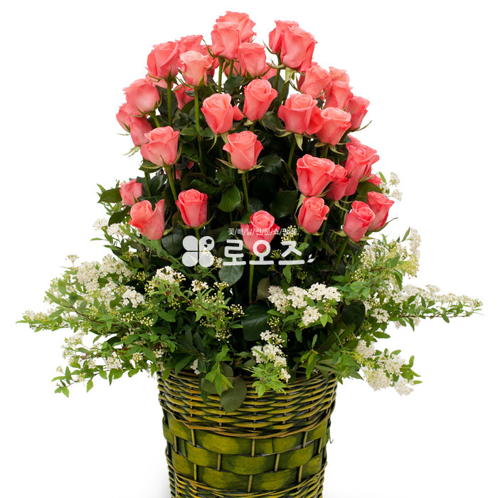 상세이미지