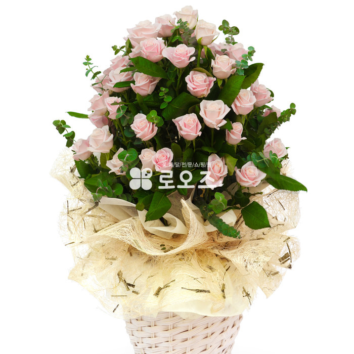 상세이미지