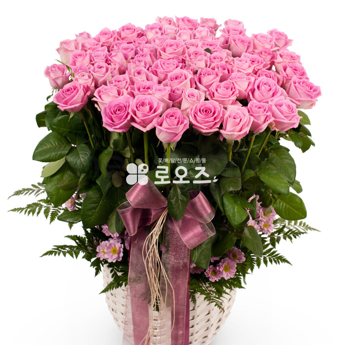 상세이미지
