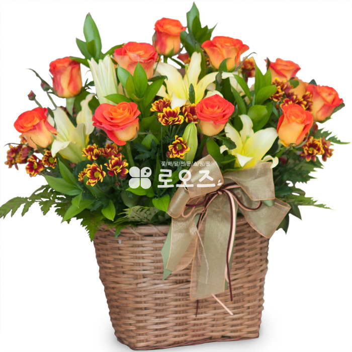상세이미지