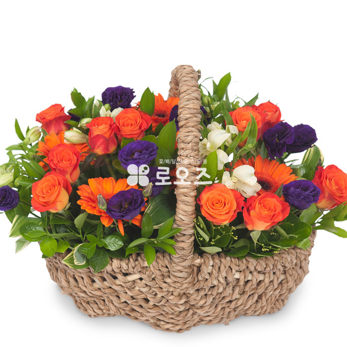 상세이미지