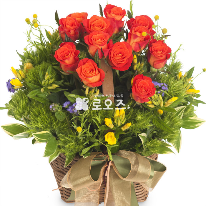 상세이미지