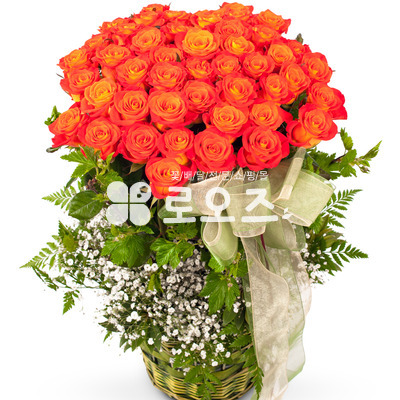 자주색장미바구니