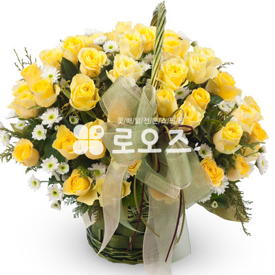 엘로 5호