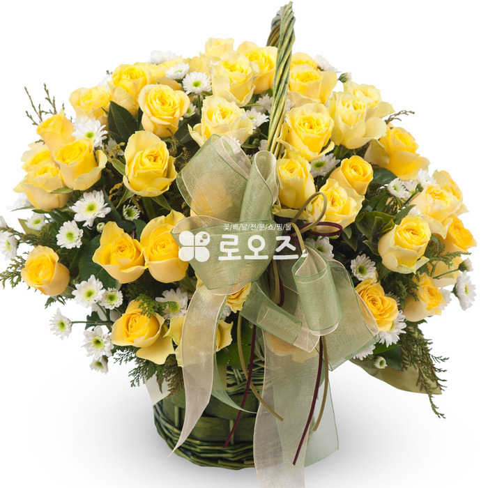 상세이미지