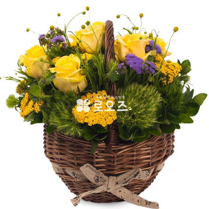 상세이미지