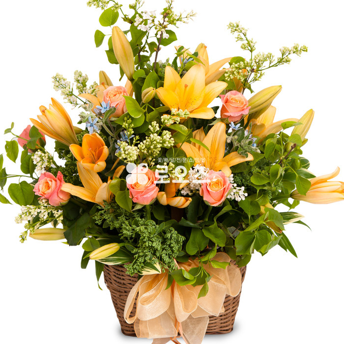상세이미지