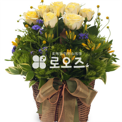 옐로우톤바구니