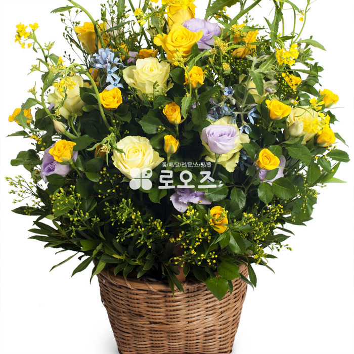 상세이미지