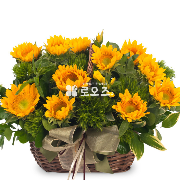 상세이미지