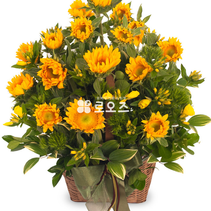 상세이미지