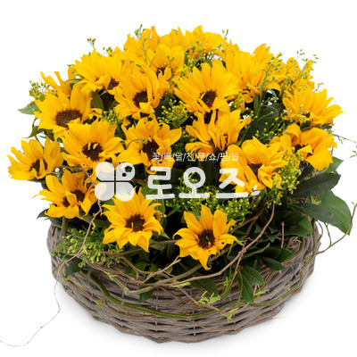 해바라기꽃바구니 382a