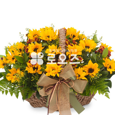 해바라기4