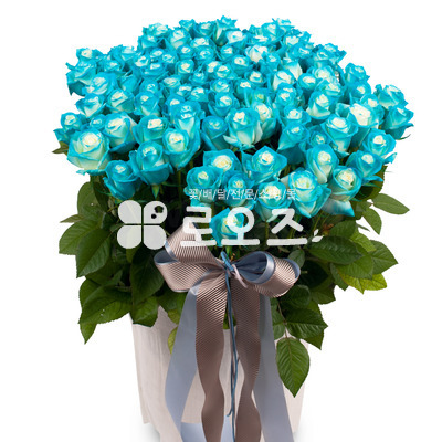 파랑이4