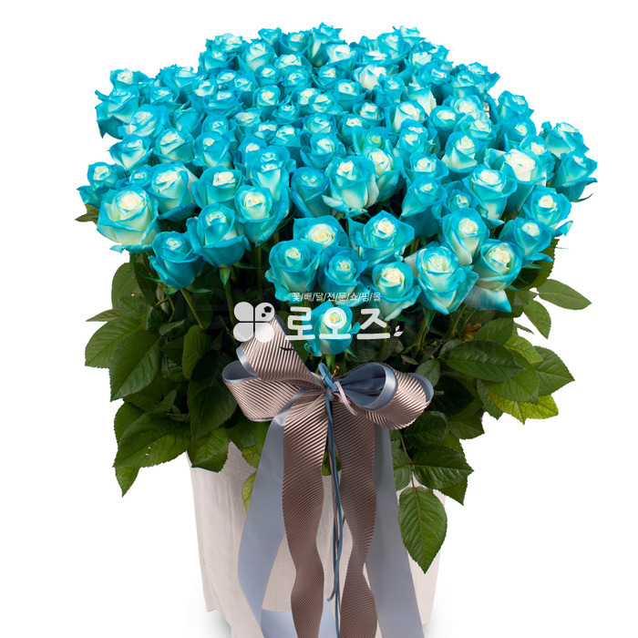 상세이미지