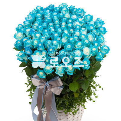 작은 바램 장미100송이