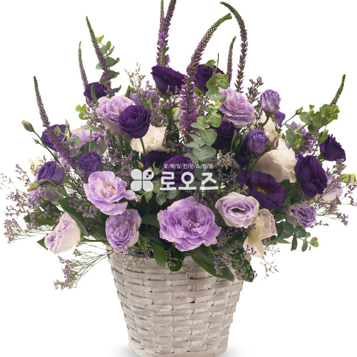 상세이미지