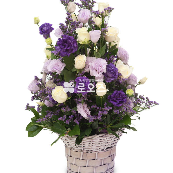상세이미지
