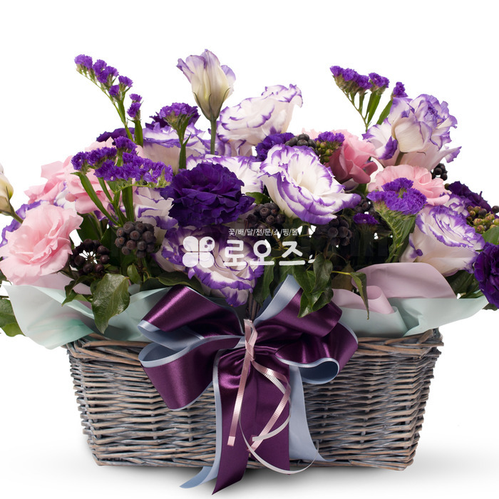 상세이미지