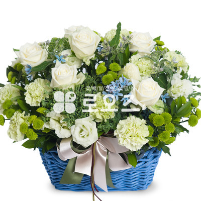 화이트/블루