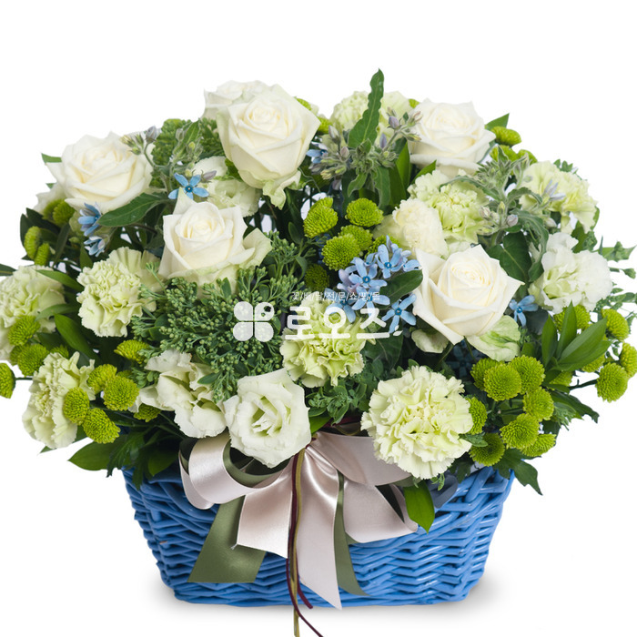 상세이미지
