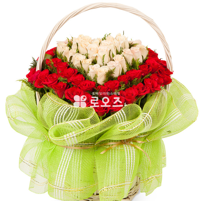 상세이미지