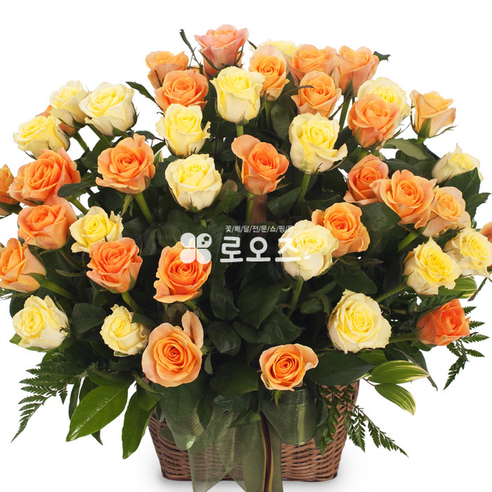 상세이미지