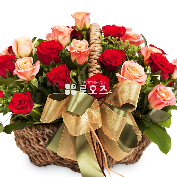 상세이미지