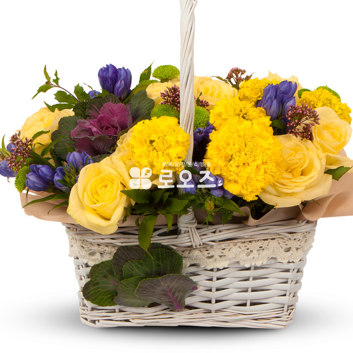 상세이미지