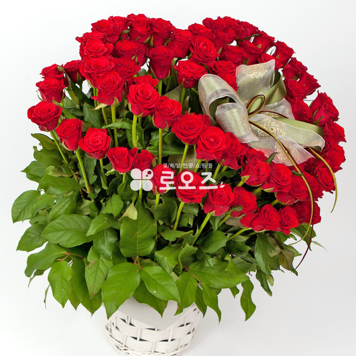 상세이미지