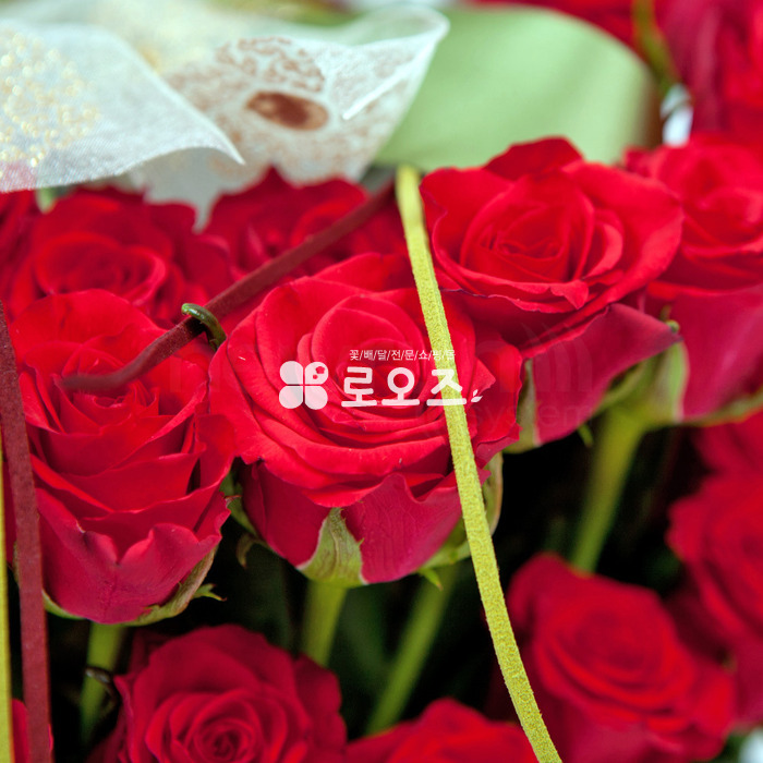 상세이미지