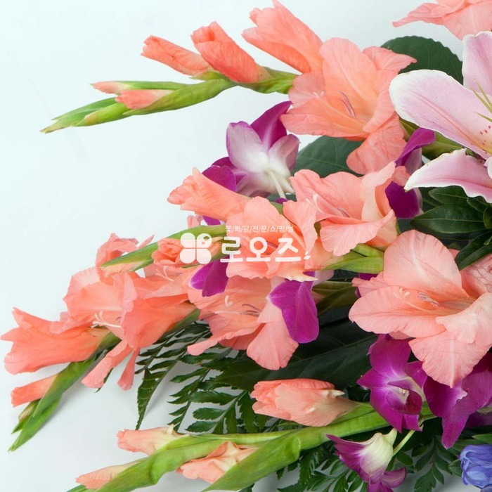 상세이미지