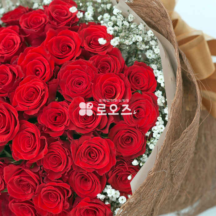 상세이미지