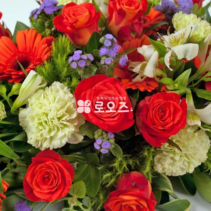 상세이미지