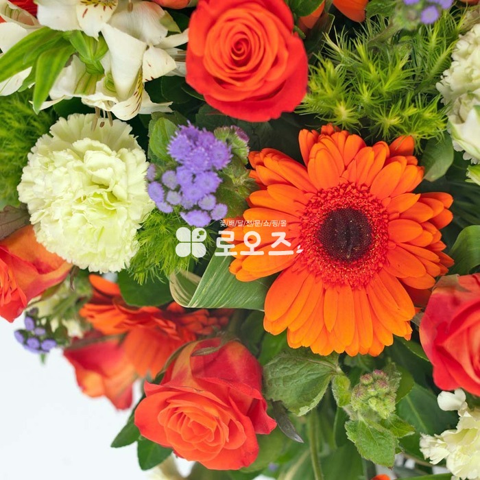상세이미지